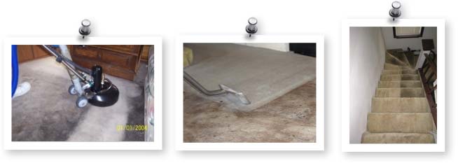 CarpetCleaningGroup